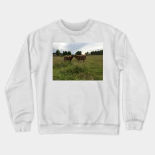 Scottish Highland Cattle Calves 1453 Crewneck Sweatshirt